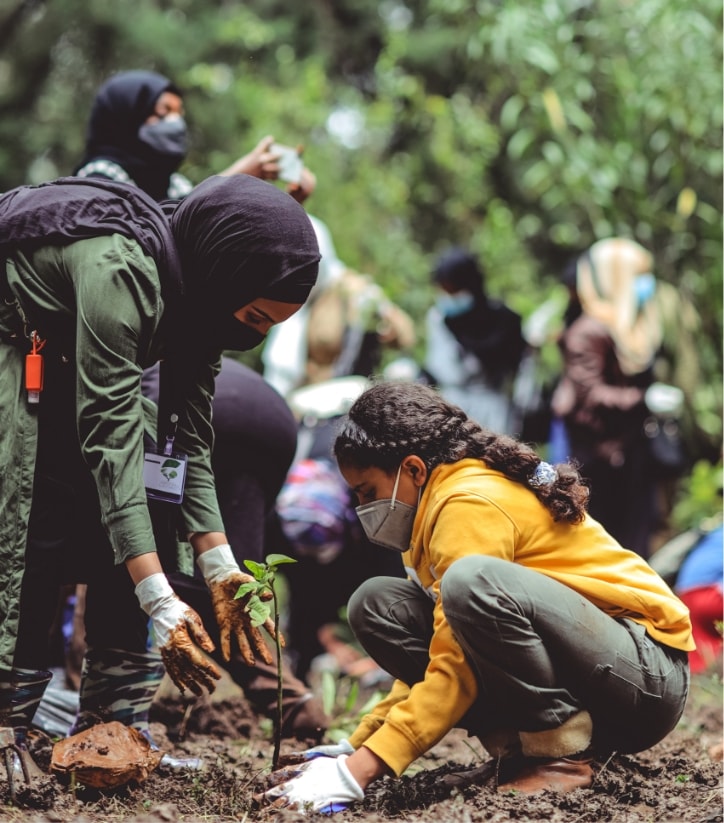 Adult and child volunteers, wearing masks, crouch down to plant a foot-high tree in a park.